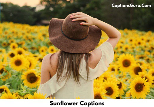 Sunflower Captions For Instagram [2022] Sunflower Quotes Also