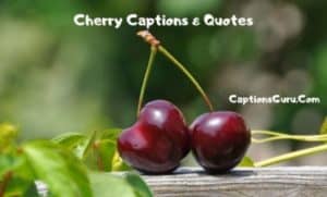 Cherry Captions & Quotes
