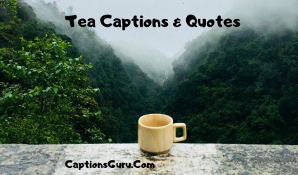 Tea Captions & Quotes