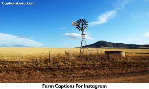 Farm Captions For Instagram