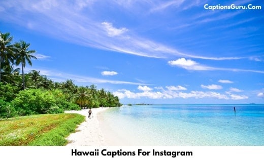 Hawaii Captions For Instagram