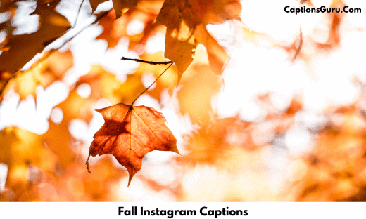 Fall Instagram Captions