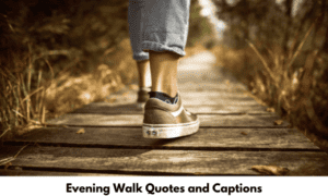 Evening Walk Quotes and Captions
