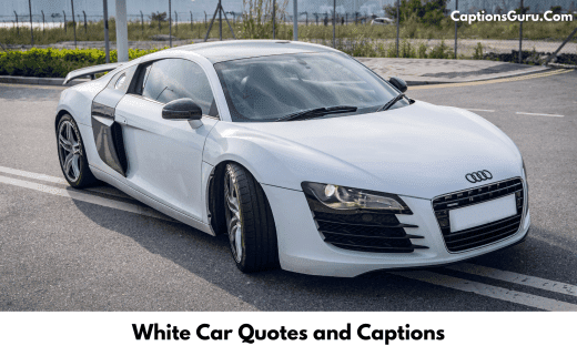 White Car Quotes and Captions