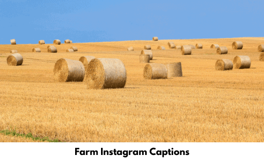 Farm Instagram Captions