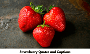Strawberry Quotes and Captions