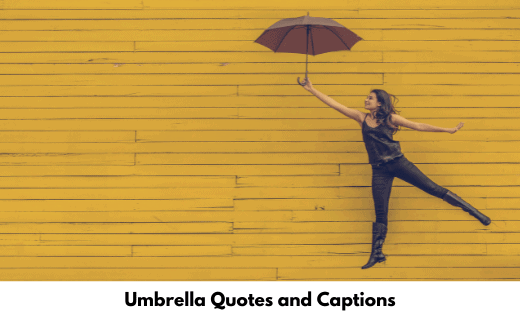 Umbrella Quotes and Captions