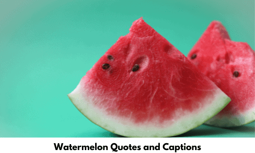Watermelon Quotes and Captions