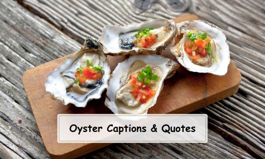 Oyster Captions and Quotes