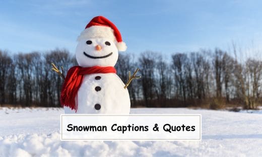 Snowman Captions and Quotes