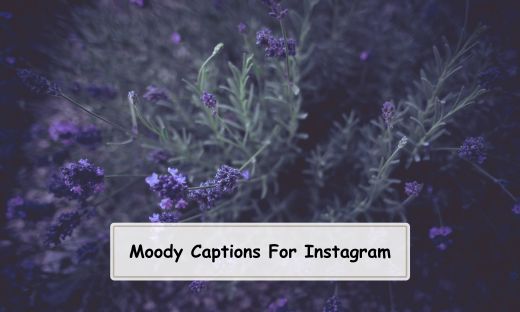 Moody Captions For Instagram